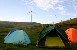 郴州露营爆料事件最新